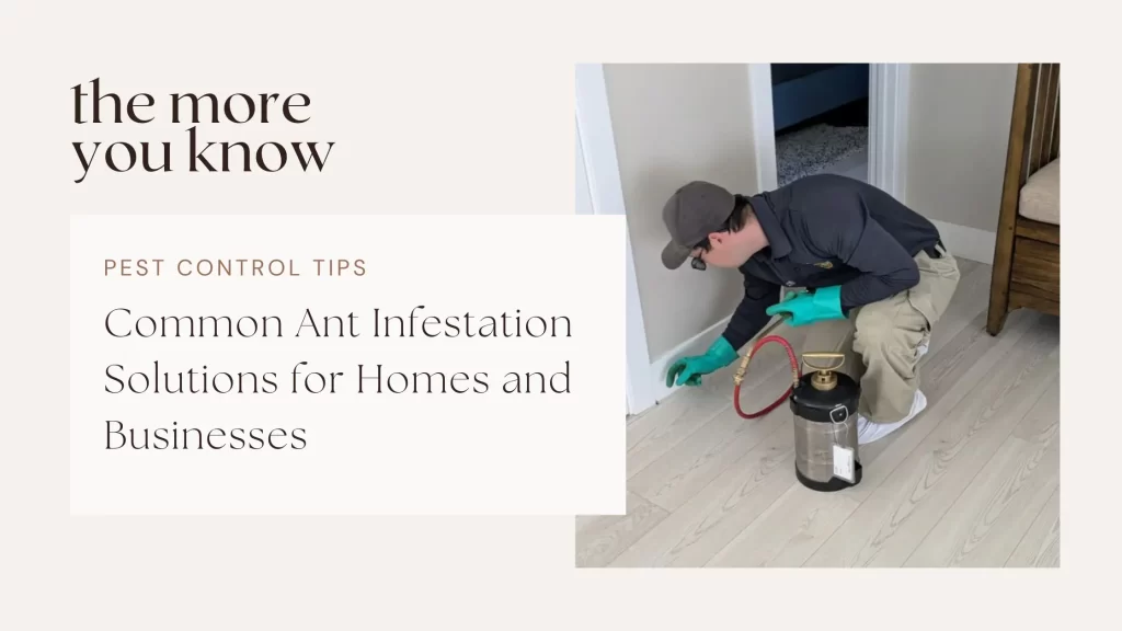 Pest control technician bending down to inspect bug on floor