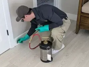 Pest control professional applying ant treatment along baseboards in a home