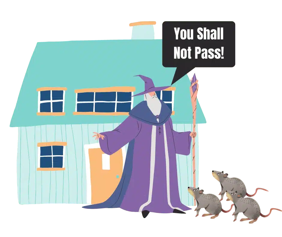 Image of wizard protecting house from rodents with a speech bubble that reads "you shall not pass"