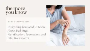 A woman scratching a red, itchy spot on her arm caused by bed bug bites.