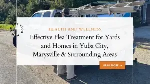 Effective flea trEffective flea treatment for yards and homes in Yuba City, Marysville & surrounding areas.eatment for yards and homes in Yuba City, Marysville & surrounding areas.